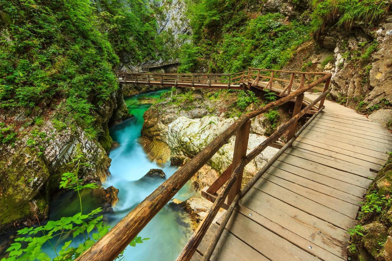 Lake Bled Holiday Home 외부 사진